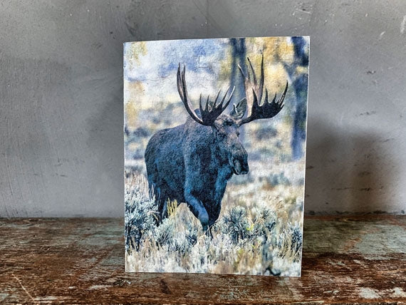 KORT M  ELG  13X17CM M KONVOLUTT