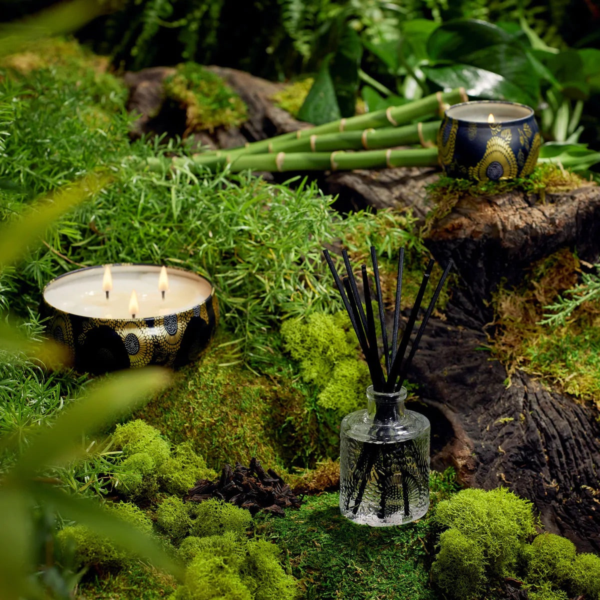 Moso Bamboo,  Reed Diffuser