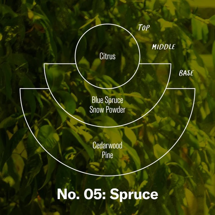 NO. 05 SPRUCE STANDARD - LIMITED EDITION
